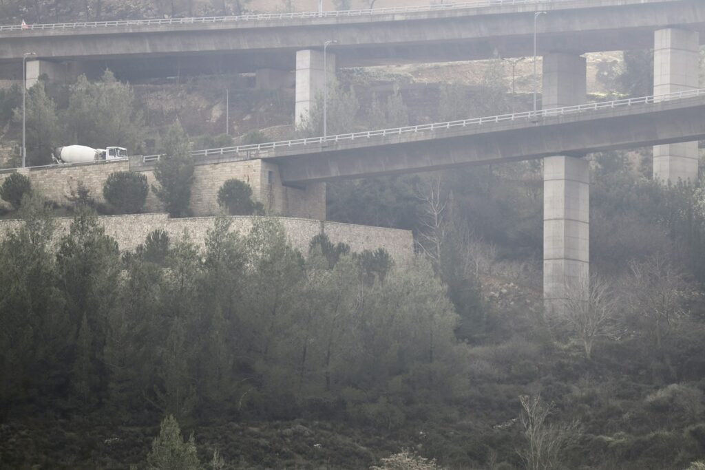 a bridge over a forest