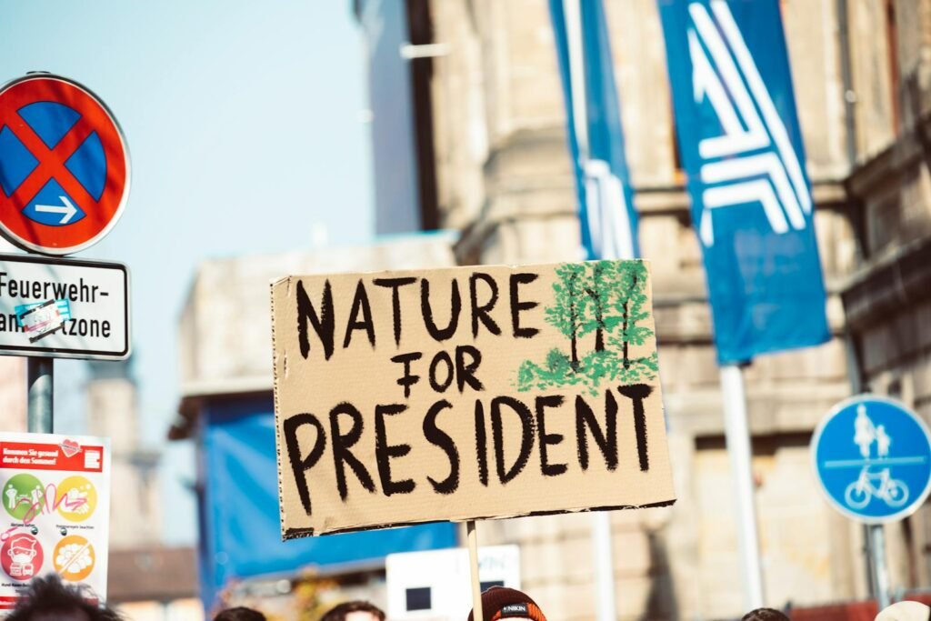 Close-up Photo of a Climate Placard