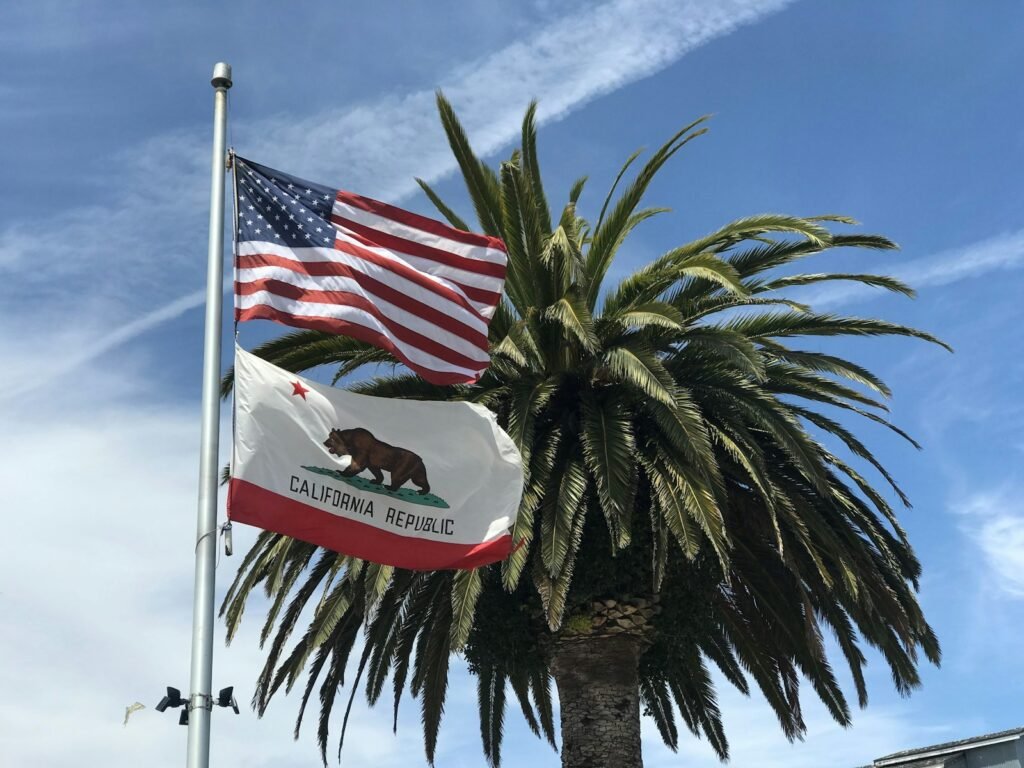 USA flag near tree