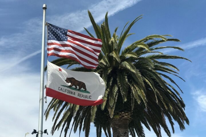 USA flag near tree