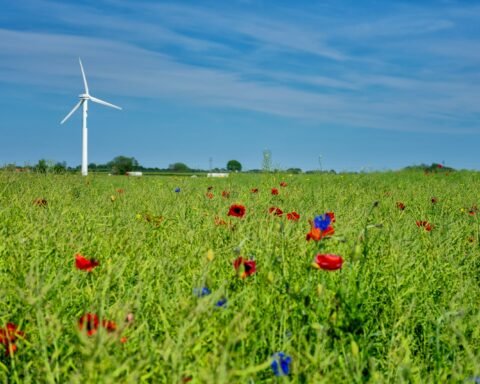 a field with a wind turbine in the background