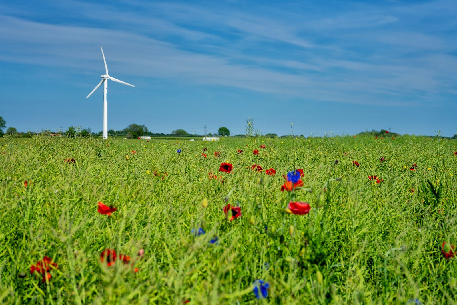 a field with a wind turbine in the background