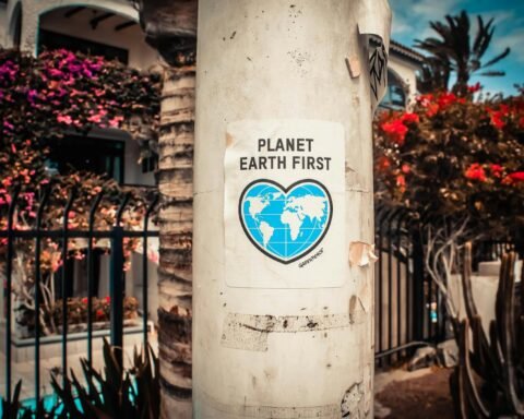 Planet Earth First Poster On A Concrete Post