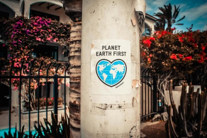 Planet Earth First Poster On A Concrete Post