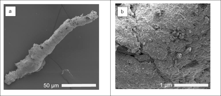 Microscope view of tyre particles